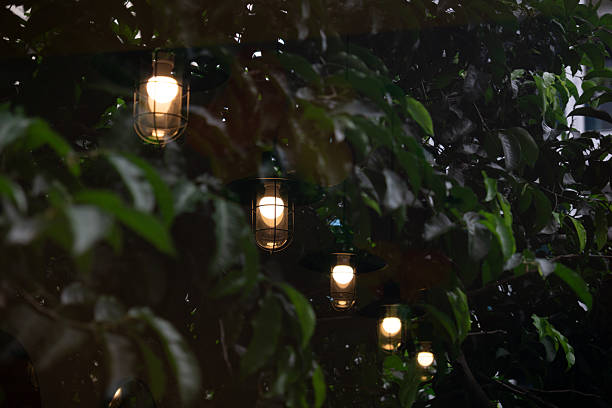 istock Hanging lanterns softly glowing amidst lush green foliage, creating a serene and cozy atmosphere 2246774400