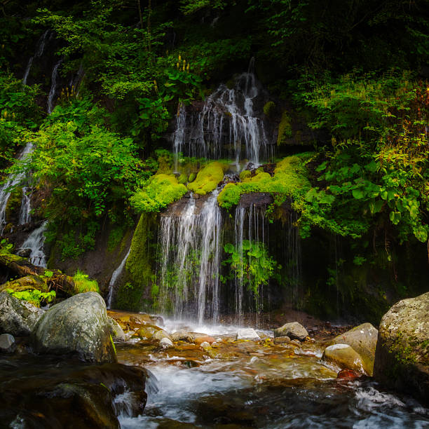 Fall and stream, Karuizawa Japan