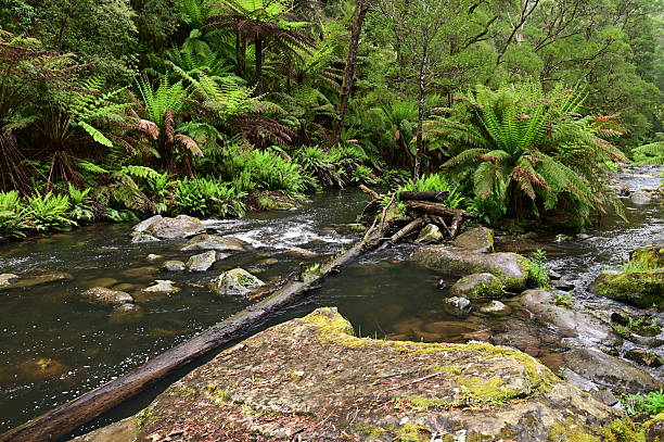 istock Australian scenic waterways 2246777427