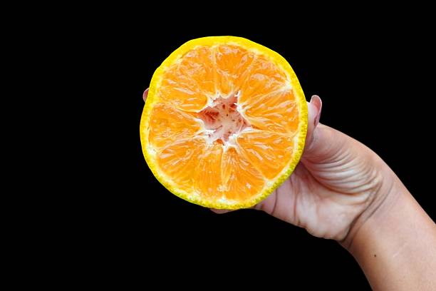 istock Juicy Citrus Slice Displayed Beautifully 2246781645