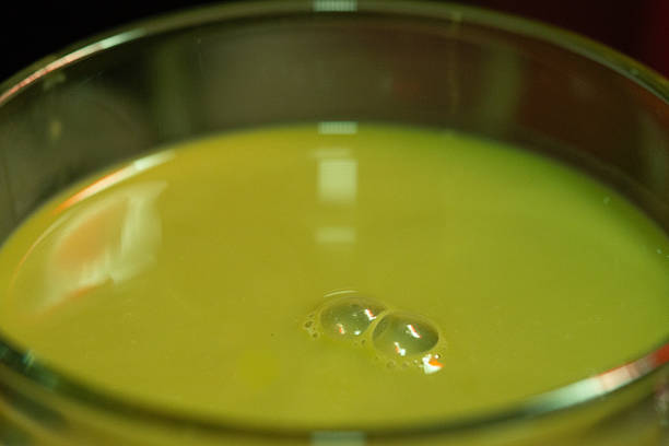 Detailed macro frame showing tiny milk bubbles floating on matcha latte with soft focus edges. Perfect for food and drink texture backgrounds.