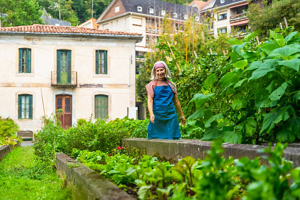 istock Woman working in community garden checking on vegetables 2246788246