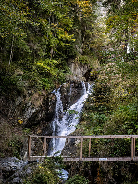 istock Image from Maria Valley ( Valea Mariii ) gorge, Hunedoara county, Romania. 2246789600