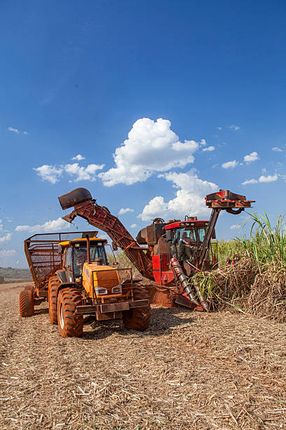 istock Mecanized harvest of sugar cane 2246792028