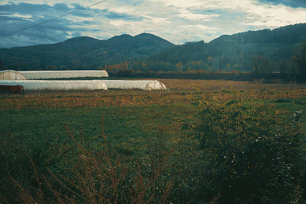 Greenhouses on arable land in autumn, central Serbia.