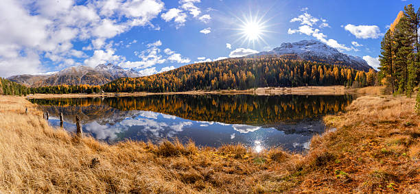 istock Golden Larches Reflected in a Crystal Alpine Mirror at Lej de Staz 2246793807