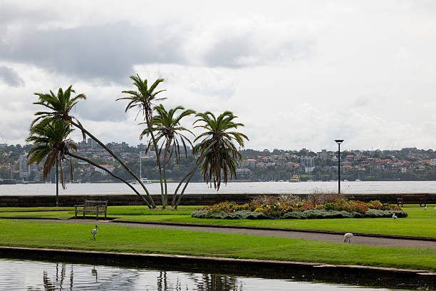View of Sydney Harbour and park