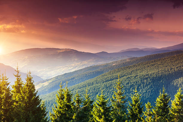 istock Beautiful sunset in the summer mountains. 2246798503