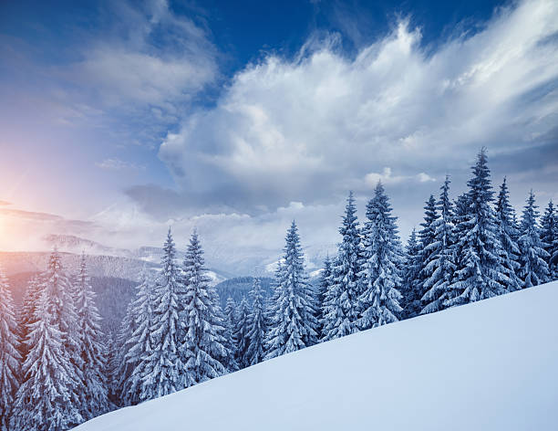 istock Perfect winter landscape with covered snow trees. 2246798538