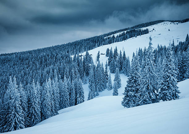 istock Perfect winter landscape with covered snow trees. 2246798552