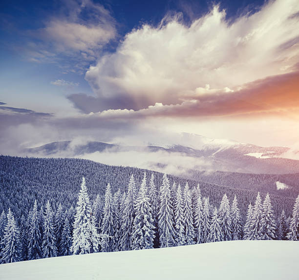 istock Perfect winter landscape with covered snow trees. 2246798682