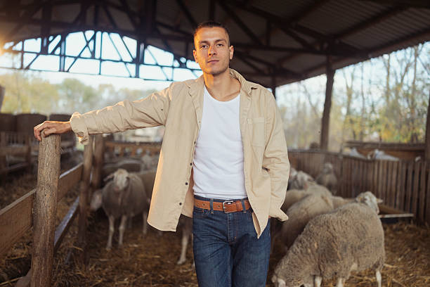 Portrait of confident male farmer standing in pen with flock of sheep, holding hand in pocket and looking directly at camera
