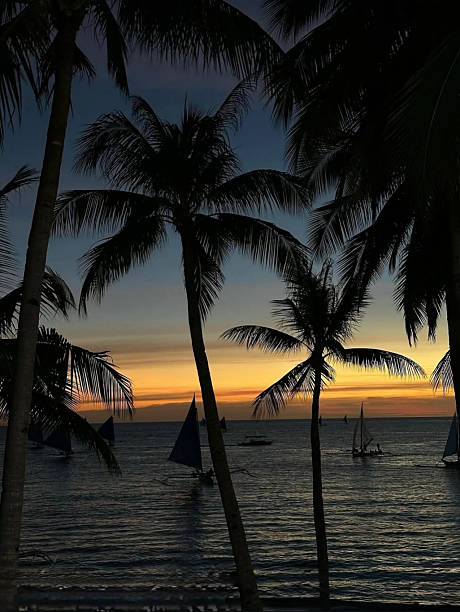 istock Sunset Over Calm Tropical Seascape 2246804943