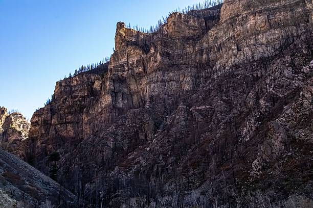 istock Forest Fire Damage To Rocky Mountain Foothills. 2246805051