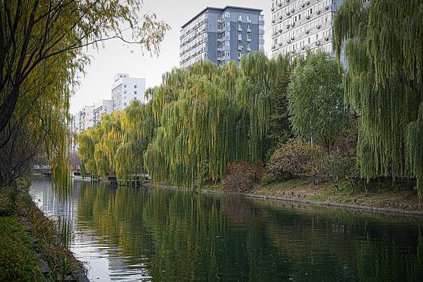 Old ancient time moat is today famous place for people just strolling around and enjoy view. Autumn especial is great time to enjoy autumn foliage, when trees like willow change a bit colour and give spectacular view.