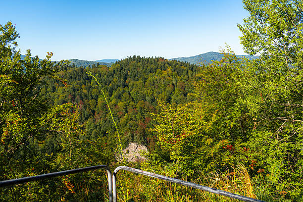 istock Mountain viewpoint overlooking dense green hills 2246808174