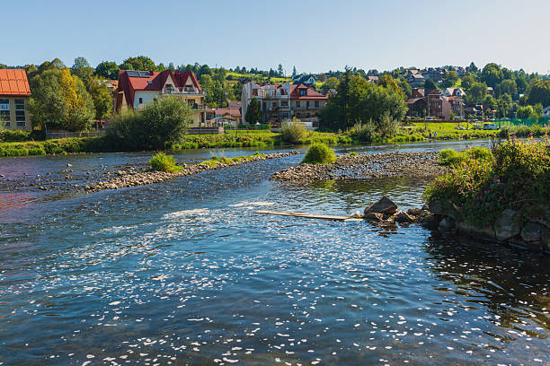 istock Shallow river channel with flowing water and greenery 2246808199