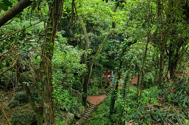Los Tres Ojos National Park, one of Santo Domingo’s most distinctive natural attractions, is an open-air limestone cave featuring three stunning lakes, aptly named “The Three Eyes.”