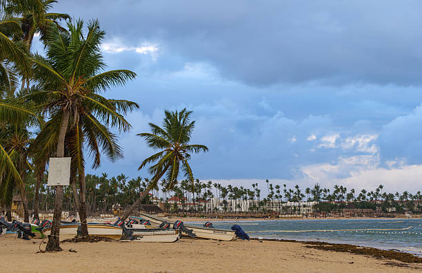 istock Punta Cana beach, Dominican Republic 2246812297