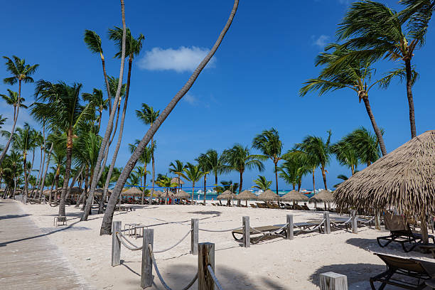 istock Punta Cana beach, Dominican Republic 2246812406