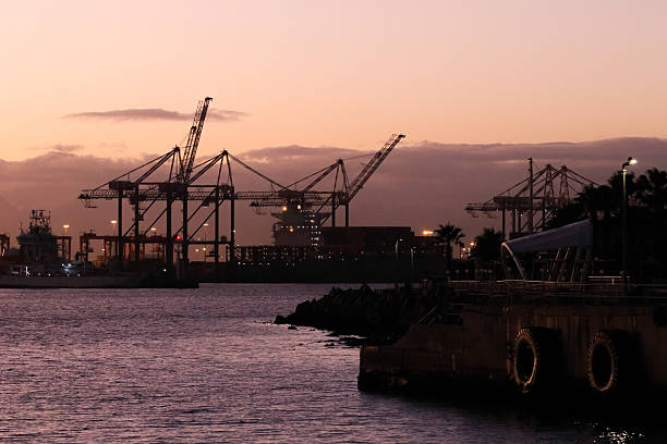 Table bay harbor commercial shipping docks container crane skyline at dawn, Cape Town