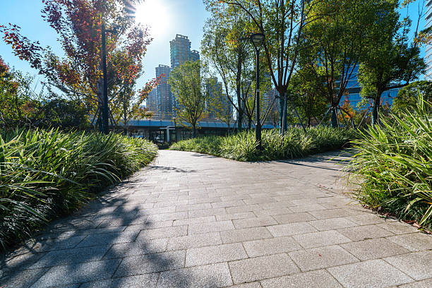 istock road in city park 2246813079