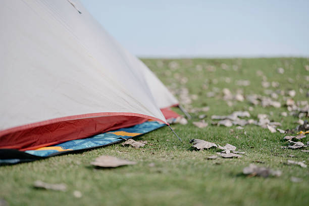 The tent in the park