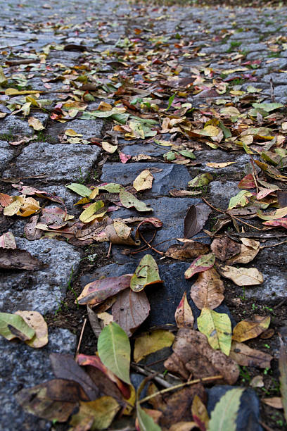 istock Fallen autumn leaves on the cobblestone pavement. 2246814404