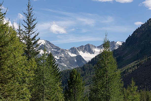 istock Beautiful summer mountain landscape. Altai, Russia 2246817772