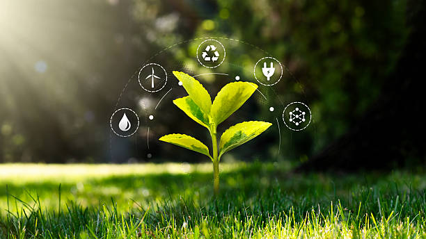 istock Green growing plant, ecology concept 2246820373