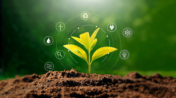 istock Green growing plant, ecology concept 2246820379