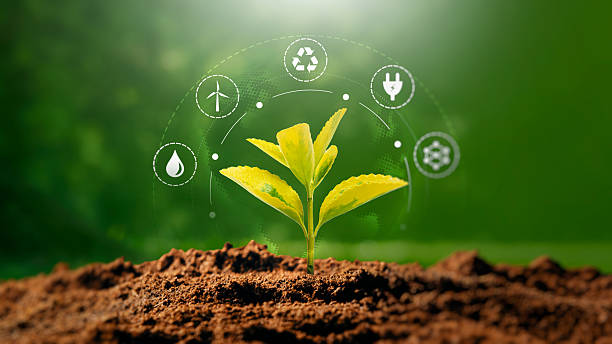 istock Green growing plant, ecology concept 2246820386