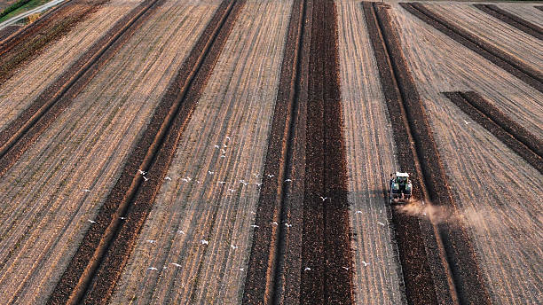 Tractor plowing agricultural field Po Valley Italy