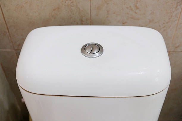 istock Close-up of toilet flush button 2246823450