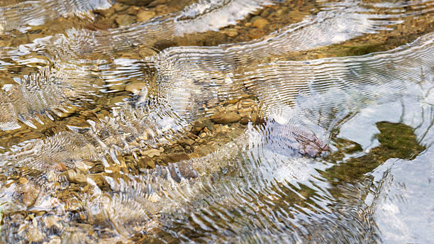 istock Ripples on clear shallow stream water 2246824811
