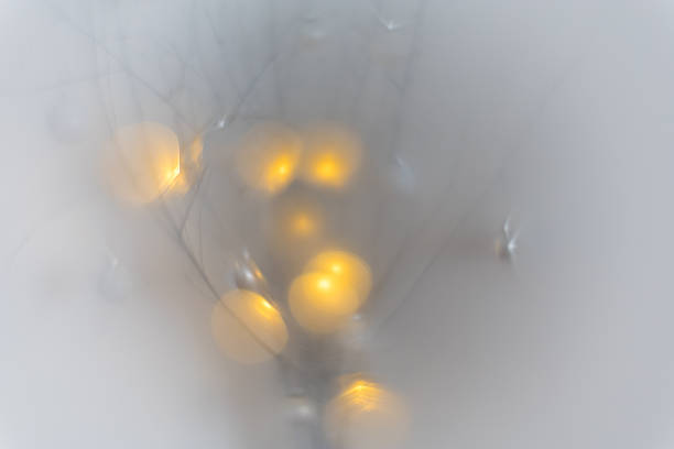 The blurred image with indistinct, thin lines evokes a feeling of winter, Christmas, dreaming, or mystery. Ideal for holiday, winter, or elegant designs requiring a minimalist and dreamy backdrop.