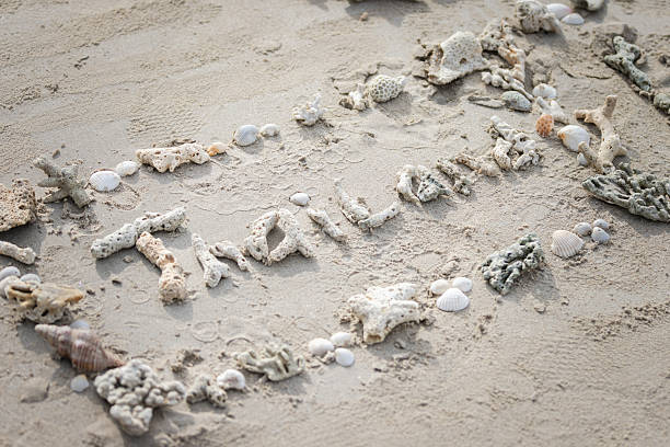 The word ‘Thailand’ is arranged on beach sand using sea shells and small coral pieces.