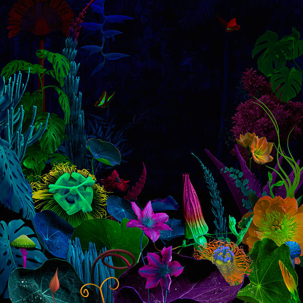 istock Surreal night jungle with flowers 2246833070