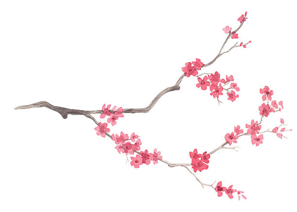 istock Sakura. Watercolor handmade collection of sakura. Delicate illustrations for fabric, wallpaper, greeting cards, design, decoration and illustration. 2246835311