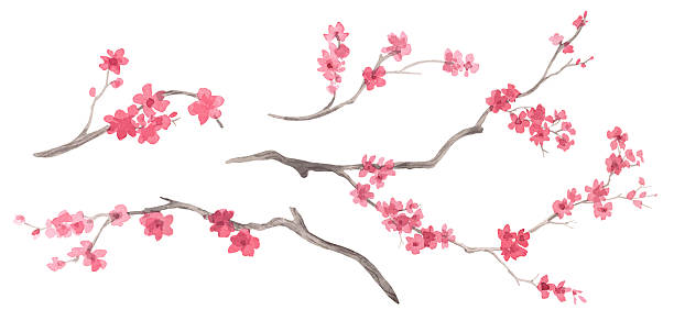 istock Set of sakura branches. Watercolor handmade collection of sakura. Delicate illustrations for fabric, wallpaper, greeting cards, design, decoration and illustration. 2246835682