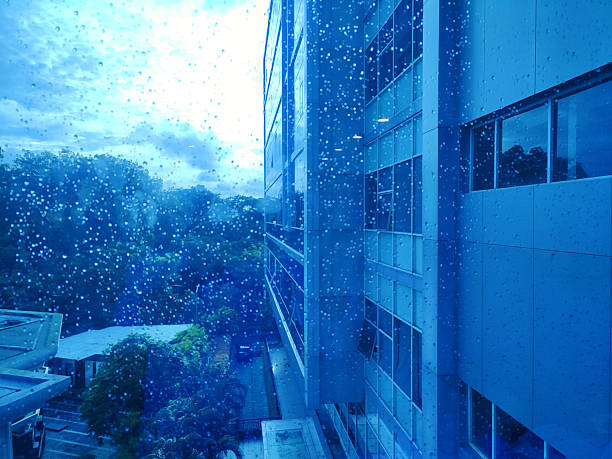 Looking through a bedroom window and drenched window screen toward the back yard shed during a torrential downpour thunderstorm which is dumping cats and dogs in a Rochester, New York State suburban residential district on a mid-May spring day.