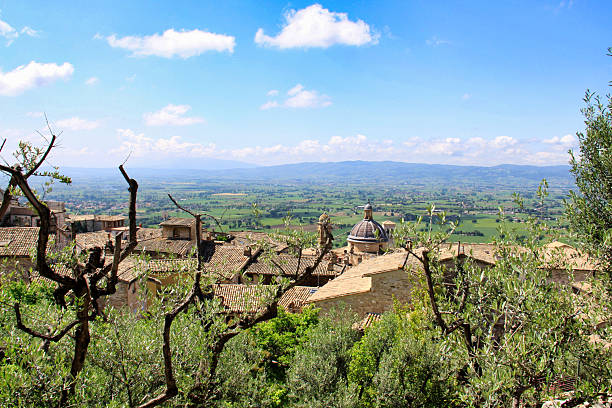 A scenic view of the historic town of Assisi, Italy, featuring a cluster of terracotta rooftops and a central dome, beautifully framed by the branches and foliage of olive trees in the foreground. Beyond the town, the wide, green Umbrian Valley stretches towards the distant hills under a bright blue sky.