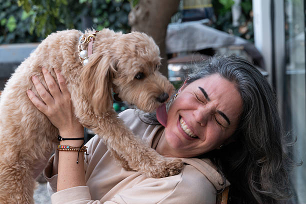 istock A woman is having fun with her dogs 2246839731
