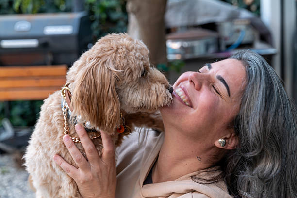 istock A woman is having fun with her dogs 2246839757