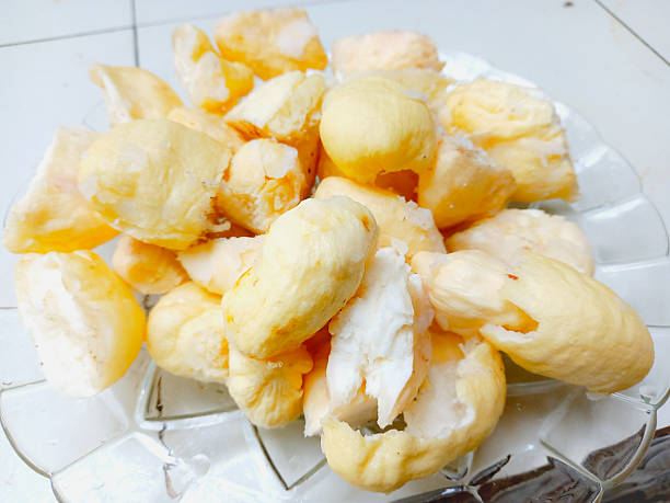 istock Sprout of the toddy palm seed. Palmyra palm seed kernel sprout. 2246840756
