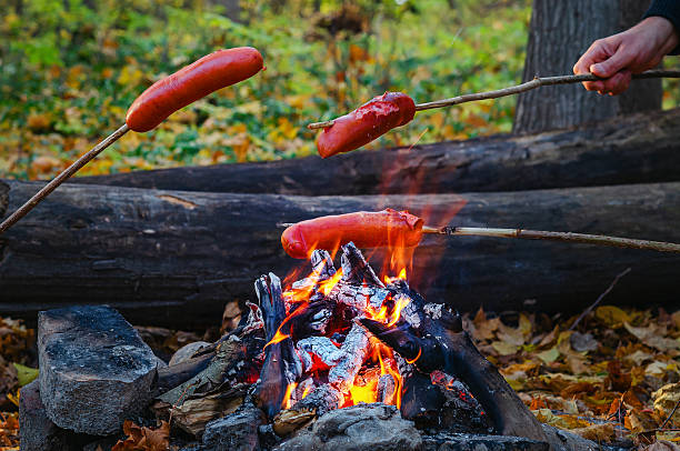 Grilled sausages for company on fire. Sausages strung on sticks over campfire. Quick dinner on camping trips in forest. Roasting sausages on open fire. Adventure concept.