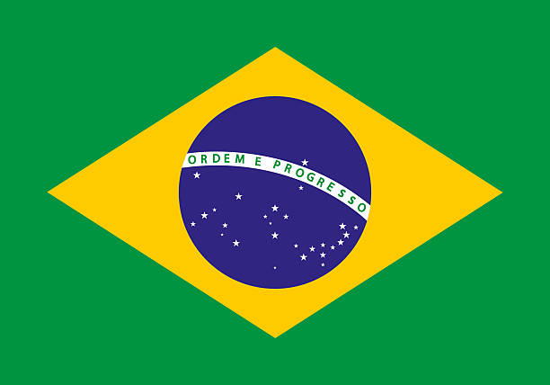 istock Brazil Flag Vector Illustration – Brazilian National Flag 2246845408