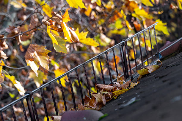 istock Leaves from plane trees lie on a snow fence 2246846264