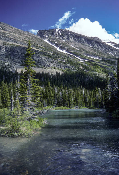 istock Glacier NP - Shallow End of Swiftcurrent Lake Vertical - 1989 2246847546
