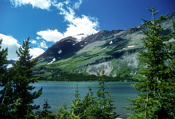 istock Glacier NP - Swiftcurrent Lake View from Trail - 1989 2246847596
